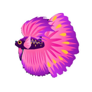 Precious Bigtail Betta